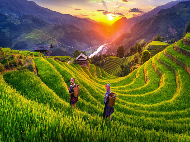 Hòa Bình – Mộc Châu – Điện Biên – Lai Châu – Sapa – Fansipan…